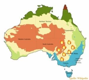 Wellensittiche bei Buschbrände in Australien