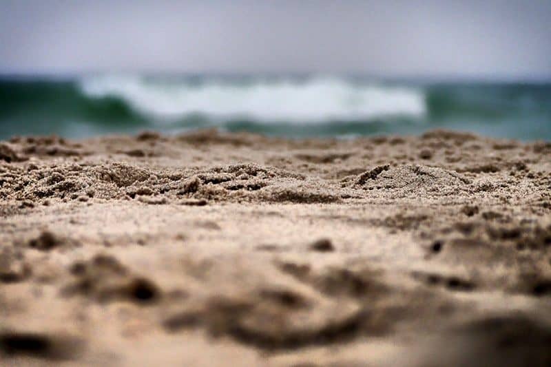 Strandsand für Wellensittiche