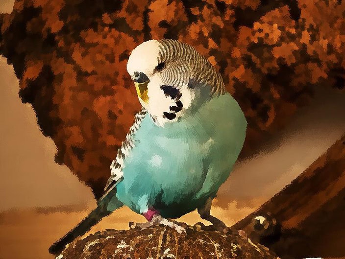 Wellensittich als Aquarell Wellensittich als Aquarell