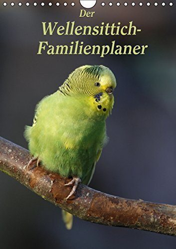 Der-Wellensittich-Familienplaner-Wandkalender-2015-DIN-A4-hoch-Putzige-Piepmtze-Monatskalender-14-Seiten-0
