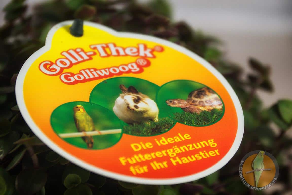 Golliwoog für Wellensittiche: Ein Leckerbissen voller Gesundheit 3 Verpackung der Golliwoog-Futterpflanze – tierfreundliche, ungiftige Grünpflanze für Wellensittiche und andere Haustiere