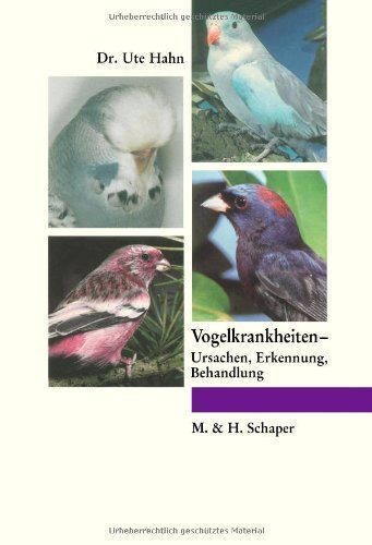 Vogelkrankheiten-Ursachen-Erkennung-Behandlung-0