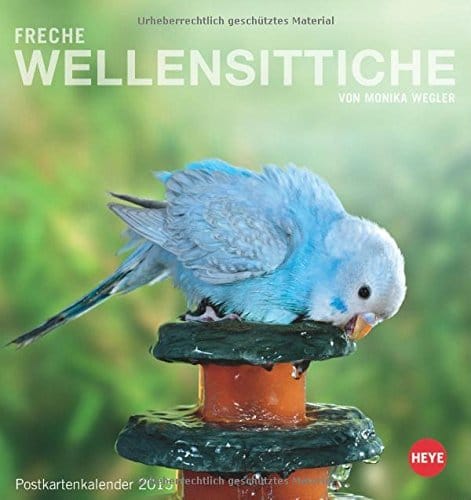 Wellensittiche-Postkartenkalender-2015-0