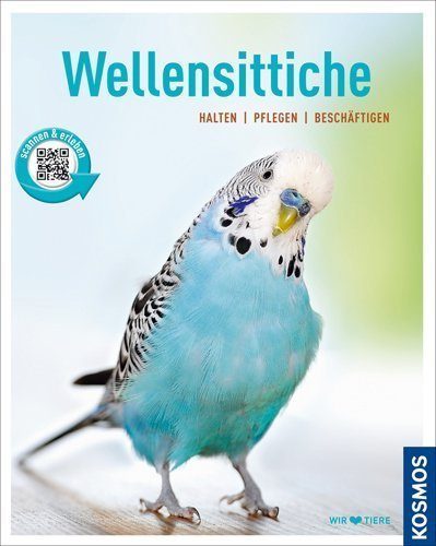 Wellensittiche-halten-pflegen-beschftigen-Mein-Tier-0-0