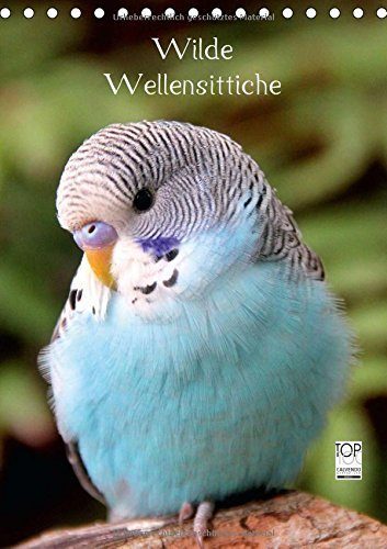Wilde-Wellensittiche-Tischkalender-2015-DIN-A5-hoch-0