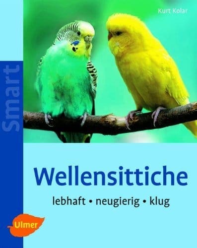 Wellensittiche-Lebhaft-neugierig-klug-0