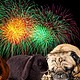 Feuerwerkskörper die Angst für Haustiere zu Silvester