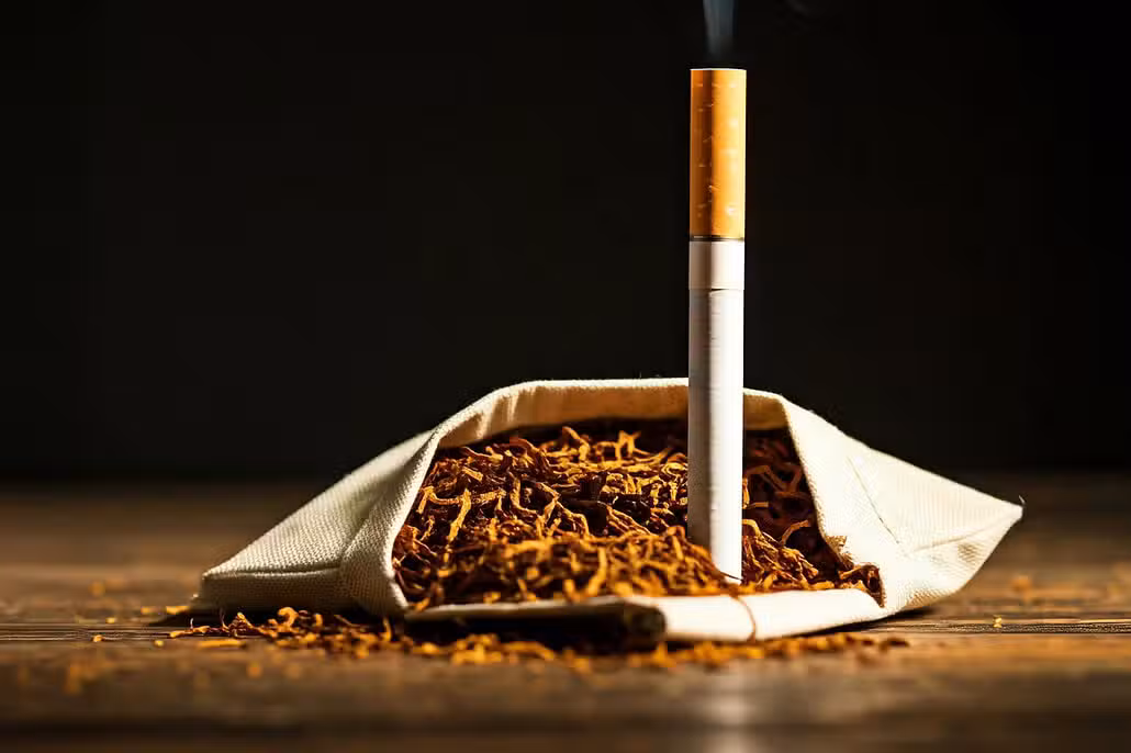 Gefahrenquelle Tabak und Zigaretten für Wellensittiche Offener Tabakbeutel und Zigarette: Tödliche Gefahr bei Verschlucken durch Vögel