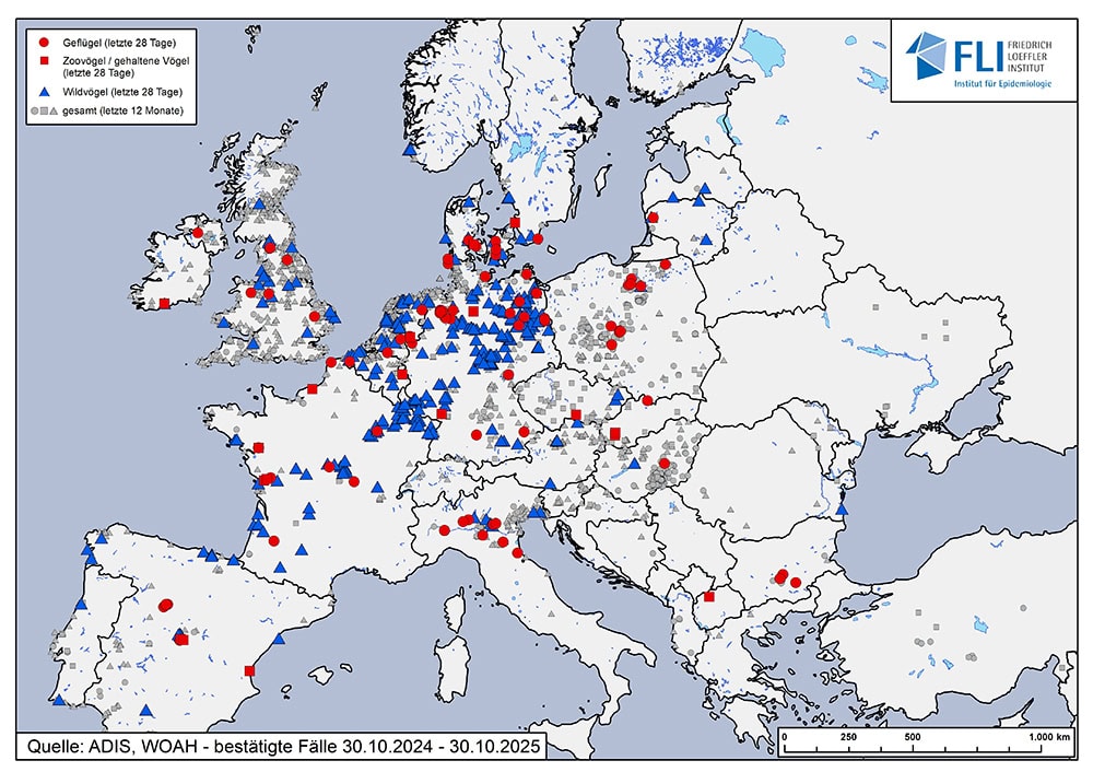 Vogelgrippe & Stallpflicht: Was bedeutet das für Wellensittich-Halter wirklich? 2 Karte Europas mit bestätigten Vogelgrippe-Fällen 2024/2025: Ausbrüche bei Geflügel, gehaltenen Vögeln und Wildvögeln, dargestellt durch rote Kreise, rote Quadrate und blaue Dreiecke.