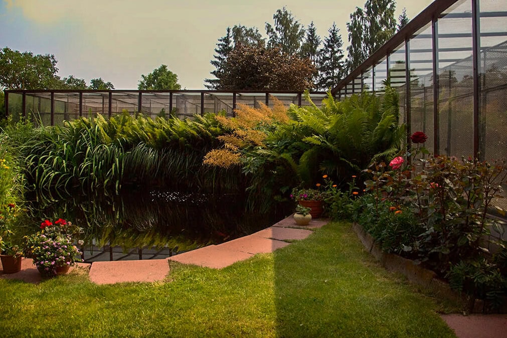 Vogelgrippe & Stallpflicht: Was bedeutet das für Wellensittich-Halter wirklich? 3 Große Außenvoliere im Garten mit Teich, üppiger Bepflanzung und gesicherten Gitterelementen.